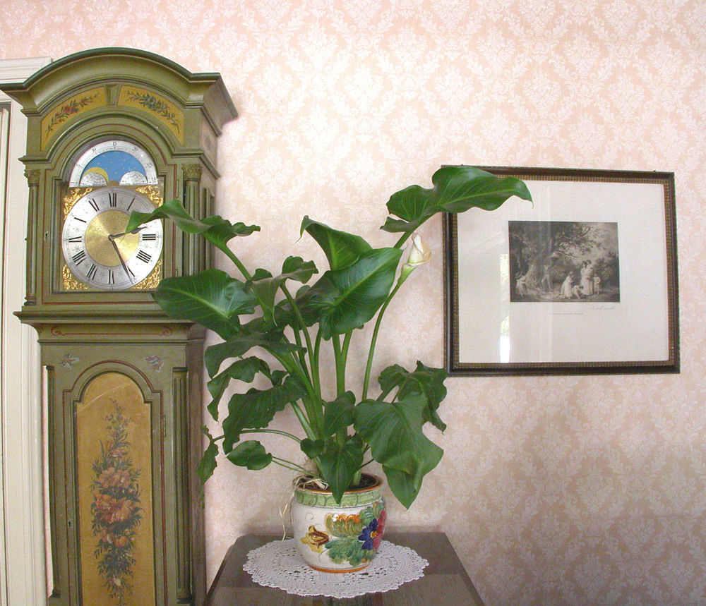 Du Parc Hotel Lake Maggiore Exterior foto